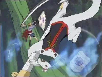 Cette technique est l'invocation la plus puissante de Temari, c'est une technique de rang B :