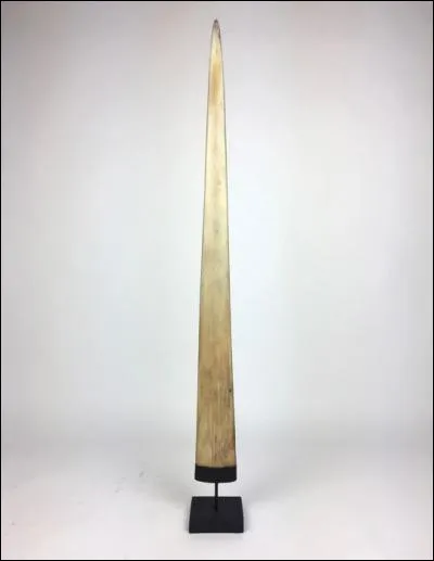 À qui appartient ce "nez" ?