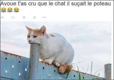 Cette photo, qu'en penses-tu ?