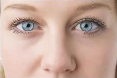 Des signes sociaux de nature sexuelle peuvent être perçus par les animaux grâce à leur organe voméronasal. Chez l'humain, où cet organe est-il situé ?