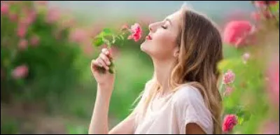 Quel est le nom de la perte d'odorat ?