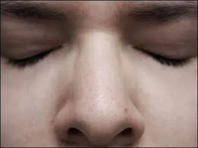 Ils sont surnommés "nez".