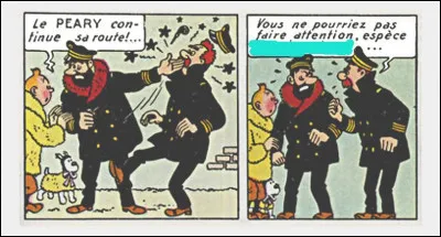 Méritées ou pas, il arrive qu'Haddock en personne soit l'objet d'invectives : que lui décoche ce personnage comme métaphore ? Et qui est-il ?