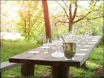 Et on clôture notre aventure, avec un barbecue chez les amis ! Je sors de ma voiture garée à 50 mètres, et déjà l'odeur m'indique le menu-grillades ! J'entends les voisins qui râlent ! C'est confirmé !