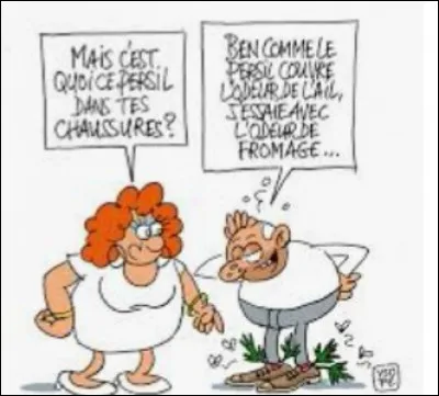 Pourquoi le fromage pue ?