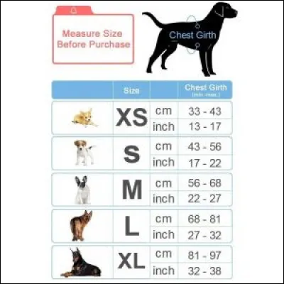 Tu préfères les chiens :