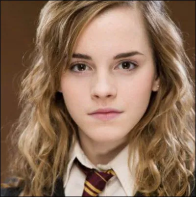 Quelle aurait été la maison dans laquelle aurait pu se retrouver Hermione ?