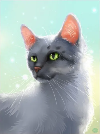 Si tu était chef, que ferais-tu ?