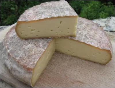 Quel est ce fromage français de lait de vache, fabriqué dans la région volcanique des monts Dore ?