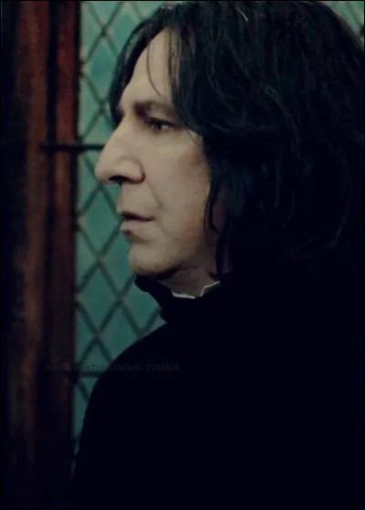 Dans Harry Potter, Severus Rogue a un nez...