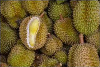 Quel est ce fruit asiatique qui dégage une odeur si insoutenable qu'il est interdit dans certains transports en commun et dans certains établissements ?