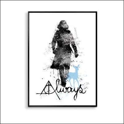 Tr&egrave;s bien ! Et parmi ces dessins, lesquels repr&eacute;sentent Severus Rogue ?