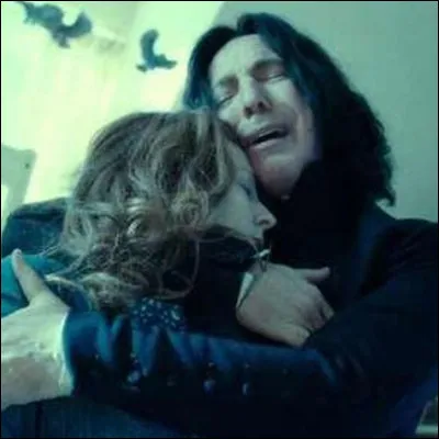 Mais, qui Rogue pleure-t-il, lui si souvent sans sentiments (amoureux) ?