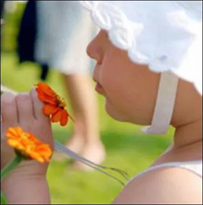 Il existe tout de même des philosophes sensibles à l'odorat : lequel de ceux écrits ci ne l'est pas ?