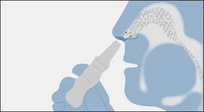 D'après Michel Onfray, qui a été le tout premier théoricien de la signification des sensations olfactives ?