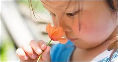 Comme preuve que l'odorat est un sens méconnu des hommes, les philosophes avancent que vous n'êtes pas capables de nommer la perte d'odorat :