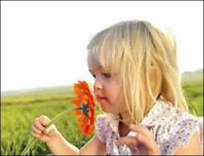 Dans la philosophie classique, d'autres domaines ont brillé dans les écrits, comme la raison, qui a souvent été qualifiée :