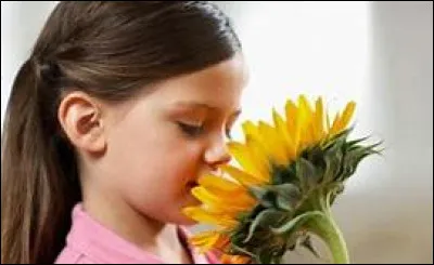 Lequel de ces philosophes des Lumières considère que cultiver l'odorat correspond à refuser d'accéder à un monde civilisé ?