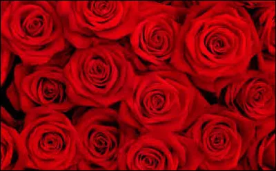 En France, quelle est la capitale de la confiserie à la rose ?