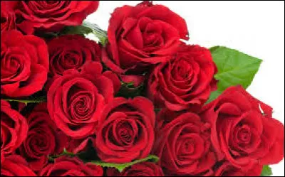 Qui a écrit "Le Nom de la rose" ?