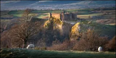 C'est l'un des symboles du pays sur l'image !