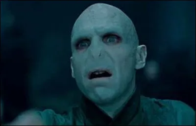 Voldemort t'appelle et te dit d'entrer dans la forêt interdite. Que fais-tu ?
