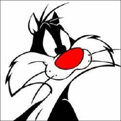 Quel est le prénom de Grosminet ?