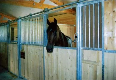 Comment appelle-t-on cette image ?