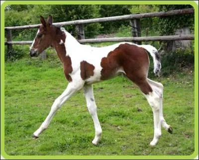 Comment l'appelle-t-on ?