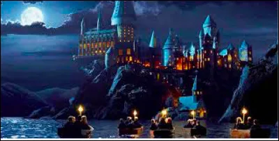 Pour faire tes courses, où vas-tu ?