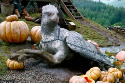 Tu préfère avoir :