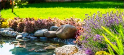 Si tu as un jardin, tu préfères :