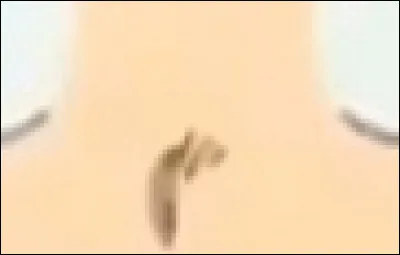 Avec son petit nez et ses gros yeux, vous saurez sûrement qui il est.