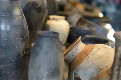 Les Gaulois sucraient leurs plats en ajoutant du :