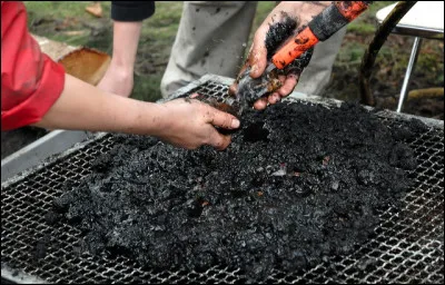 Comment appelle-t-on le phénomène naturel qui permet la conservation des macro-restes végétaux en contexte archéologique ?