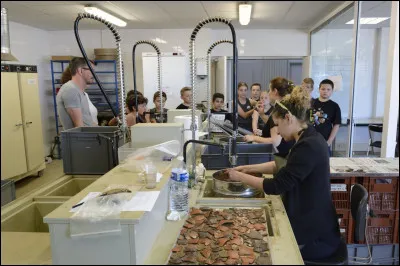 Quel outil permet au spécialiste d'isoler les restes de graines des sédiments ?