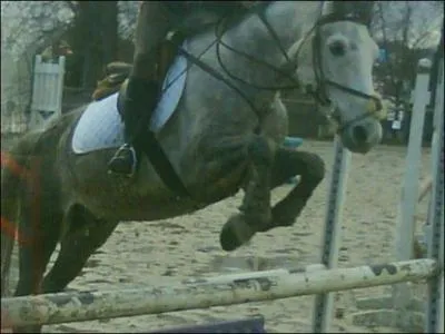 Comment s'appelle ce type de saut ?