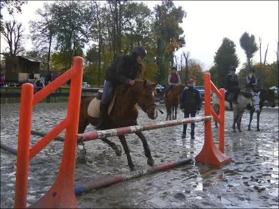 Que fait ce cheval  l'abord du saut ?