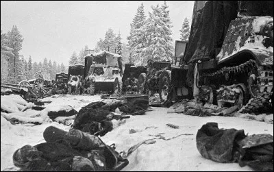 Grâce à cette victoire décisive, les Finlandais qui souffraient d'une carence en équipement, capturent ... chars, 71 canons d'infanterie et anti-aériens, 29 canons antichars, 100 mitrailleuses, des véhicules blindés, des chenillettes, 260 camions, 1 170 chevaux, et des armes d'infanterie en grand nombre dont 6 000 fusils, un avion, des munitions et du matériel médical. (Complétez)