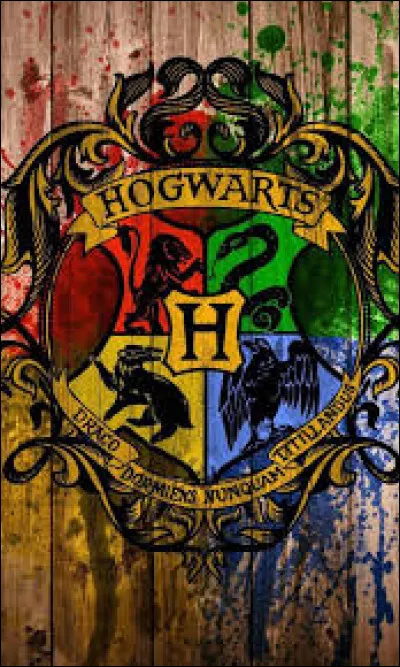 Quelle maison pr&eacute;f&egrave;res-tu ?