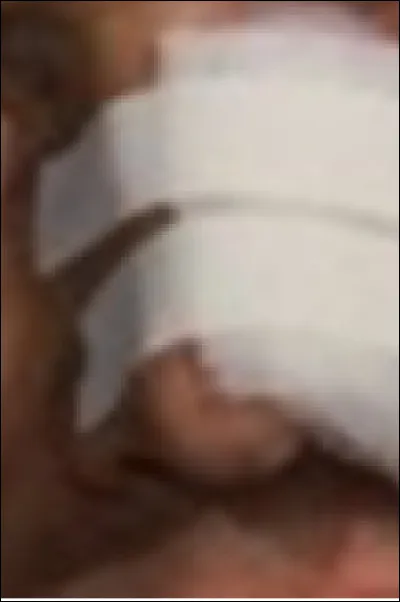 Quel personnage joué par Jack Nicholson se retrouve avec un nez dans cet état ? 
Ce personnage est un enquêteur privé travaillant pour/avec le personnage de Faye Dunaway.