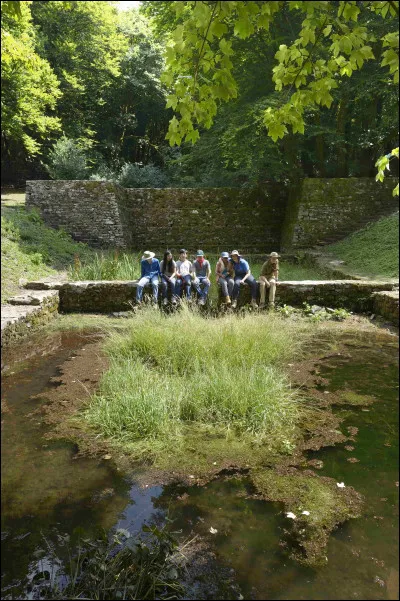 Combien de structures hydrauliques ont été mises au jour à Bibracte ?