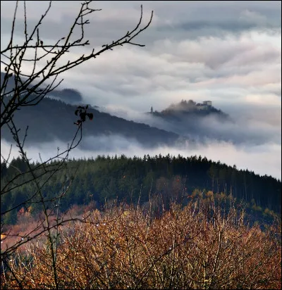 Parmi ces propositions, laquelle est une indication que l'on peut obtenir gr&acirc;ce &agrave; l'&eacute;tude des cernes d'un arbre ?
