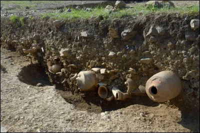 À la grande joie des archéozoologues, que retrouve-t-on fréquemment en fouillant des fosses dépotoirs ?