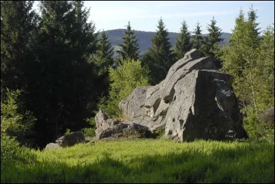 Comment s'appelle le spécialiste de l'étude des couches stratigraphiques ?