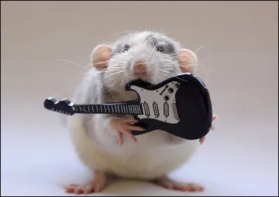 Qui créa les premières guitares, sous leur forme actuelle ?