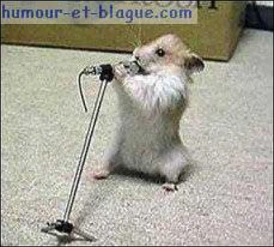 A quelle occupation se livre le hamster ?