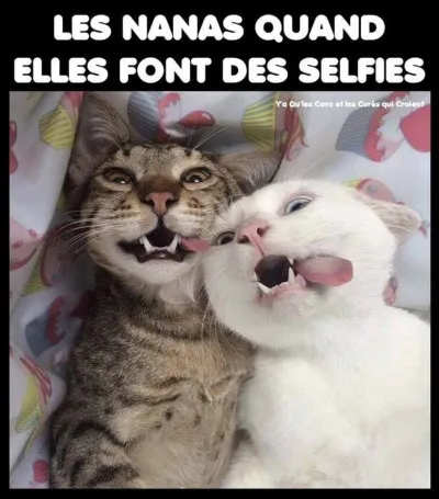 Trouve un mot synonyme de "selfie" !