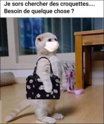 À quelle date commença le confinement 2020 en France ?