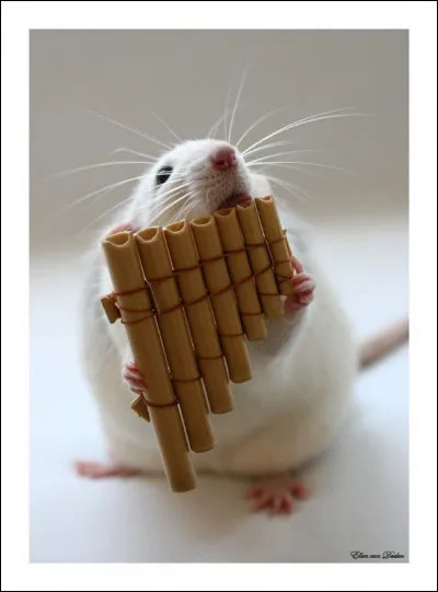 Trouve une chanson qui correspond à l'image !